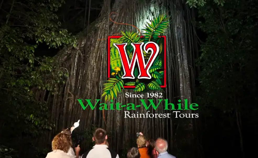 Rainforest Wildlife Spotlighting Tour, Cairns