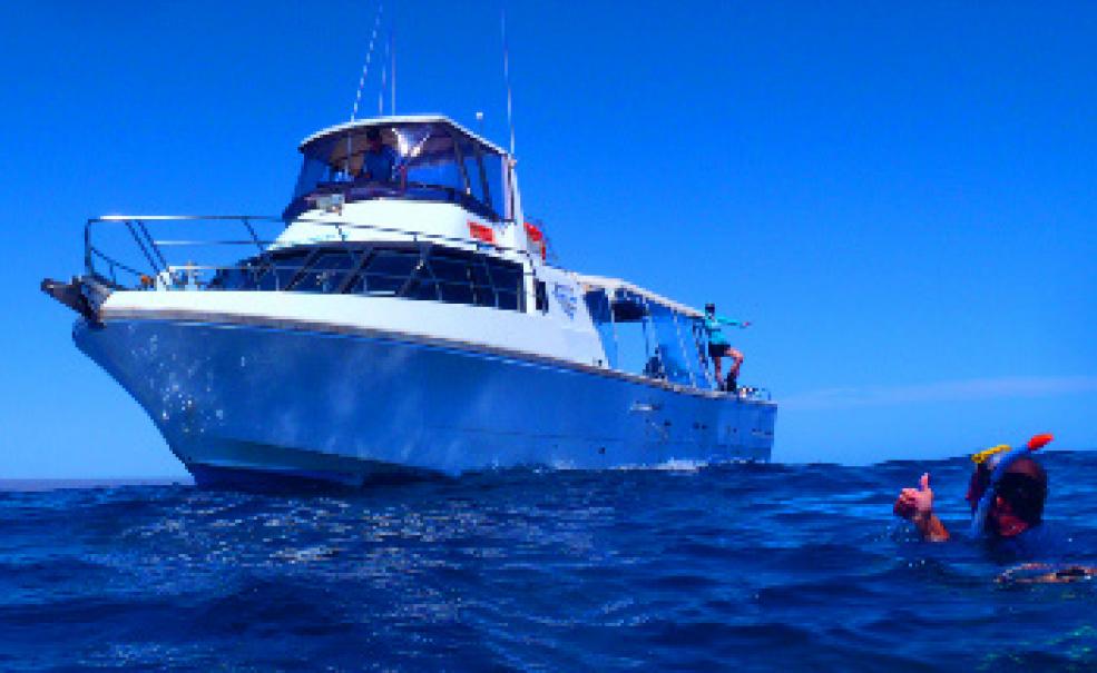 Deluxe Whaleshark Swim Tour aboard MV JAZZ2, Exmouth