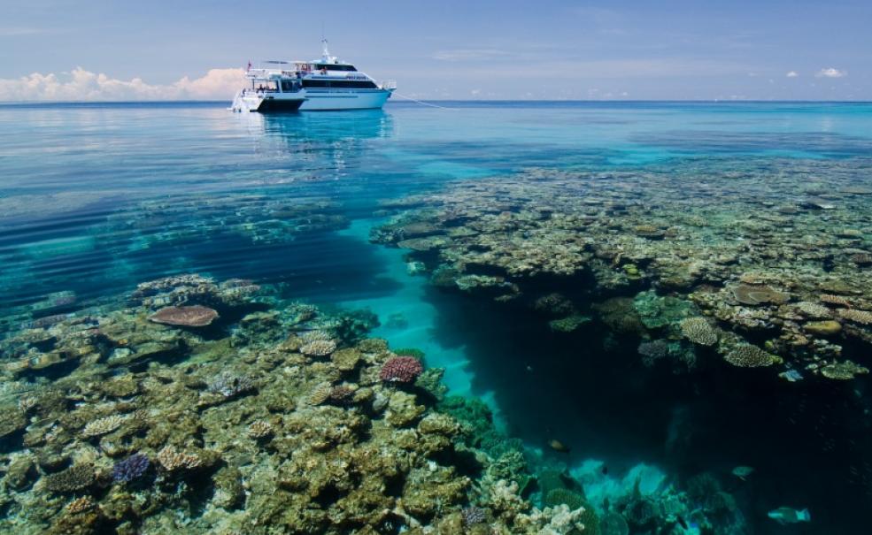 5 Day Learn To Dive on the Great Barrier Reef, Cairns